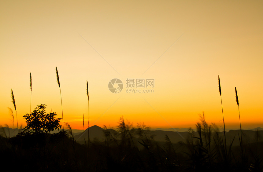 日落山植物天空插图美化日落橙子叶子顶峰地平线公园图片