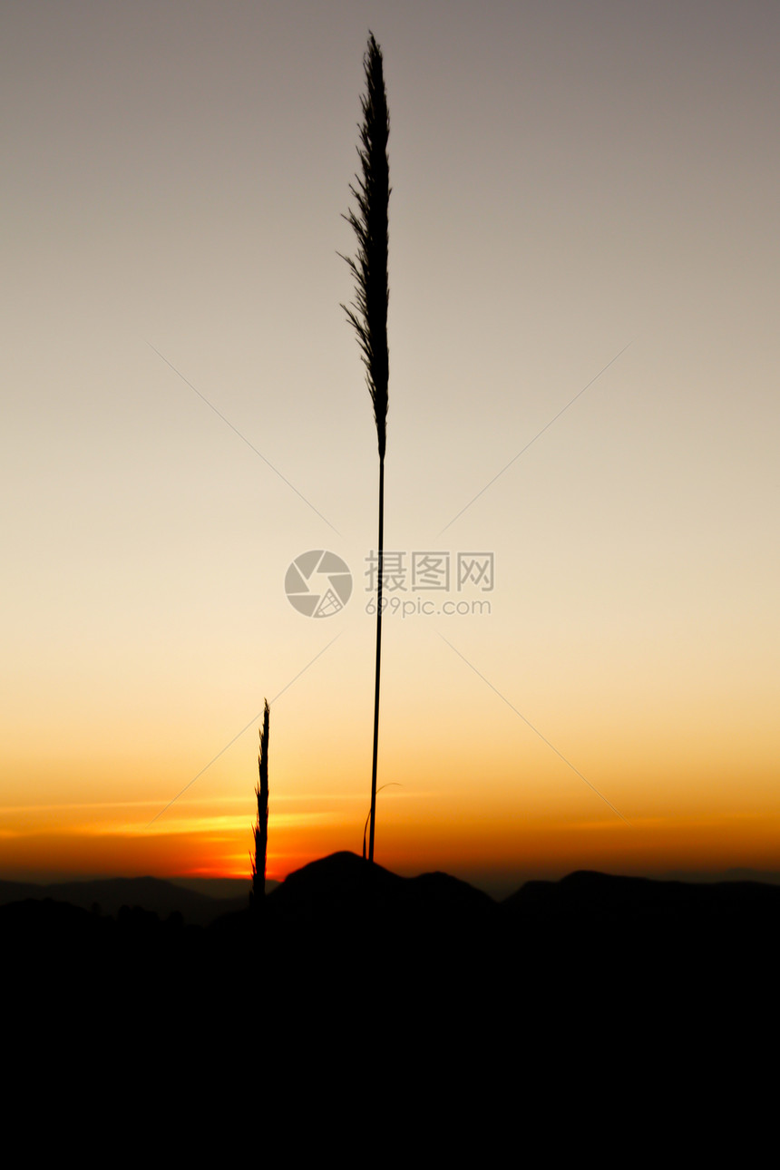 日落山天空环境插图季节植物顶峰公园土地叶子美化图片