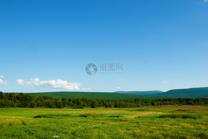 一片田地 有花柳草 山丘 天空图片