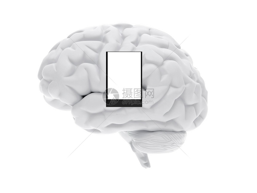 3D人脑智力头脑专注风暴手术窗户知识神经系统插图思考图片