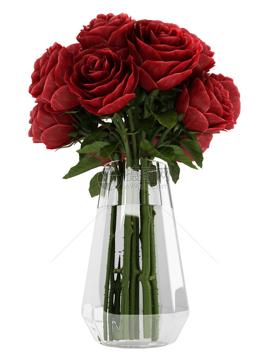 深布根迪红玫瑰的瓦萨植物群铭文展示装饰婚礼植物花束园艺庆典礼物图片