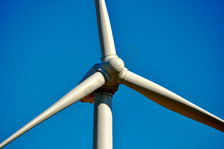 风风涡轮树木涡轮机绿色风车科技风力技术场地资源背景图片