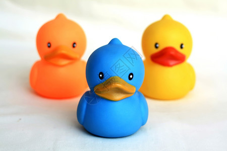 鸭玩具鸭子塑料白色黄色小鸭子淋浴橙子橡皮背景图片