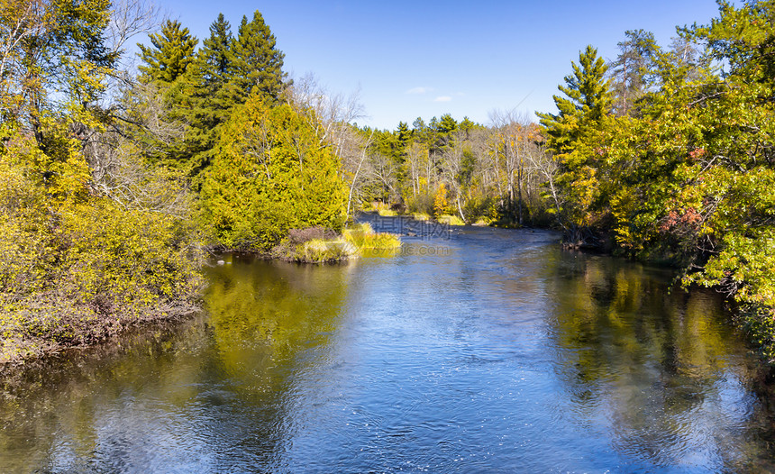 威斯康星州海沃德附近的Namekagon河蓝色松树天空树木蓝天自然绿色风景场景图片