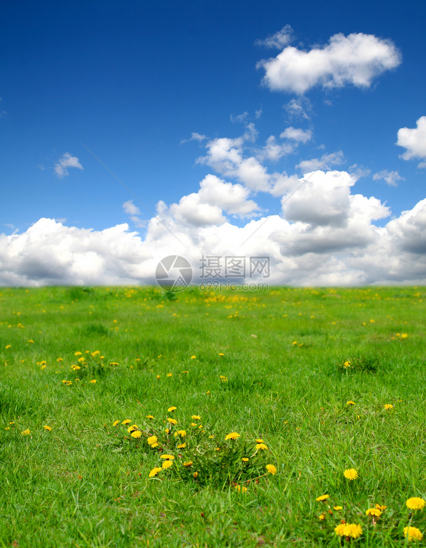 春季风景公园植物群季节叶子环境天空国家晴天蓝色场景图片