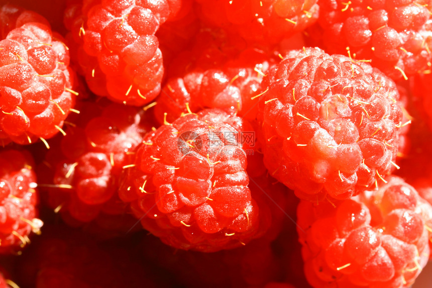 树莓草莓红宝石季节水果甜点荒野种子美食营养果汁蔬菜图片