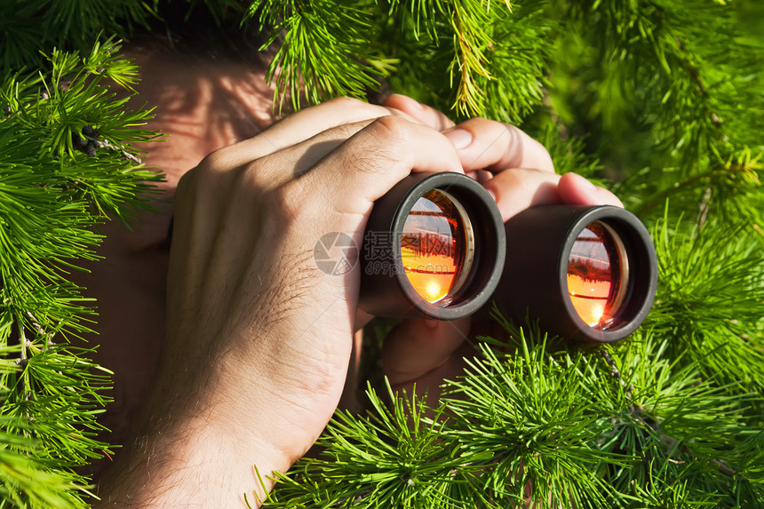 使用望远镜观看植物风景灌木职业公园间谍树木绿色监视眼镜图片