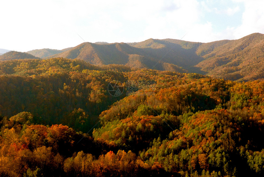 Asheville 北卡罗来纳山丘陵森林天空数控树木图片