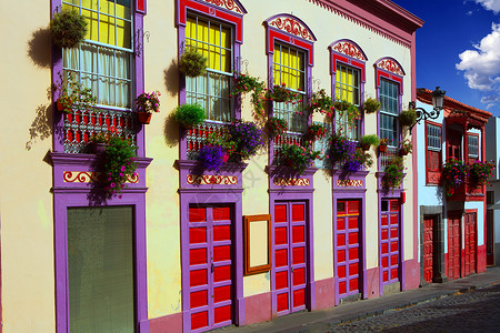 大西洋路殖民房屋外墙古董装饰大厦建筑风格阳台植物岛屿旅行花朵背景