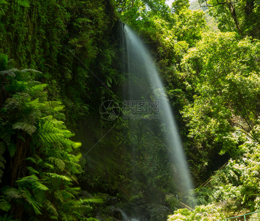 在森林的Laurisilva假期瀑布岛屿植被溪流土地阳光树木公园地标图片
