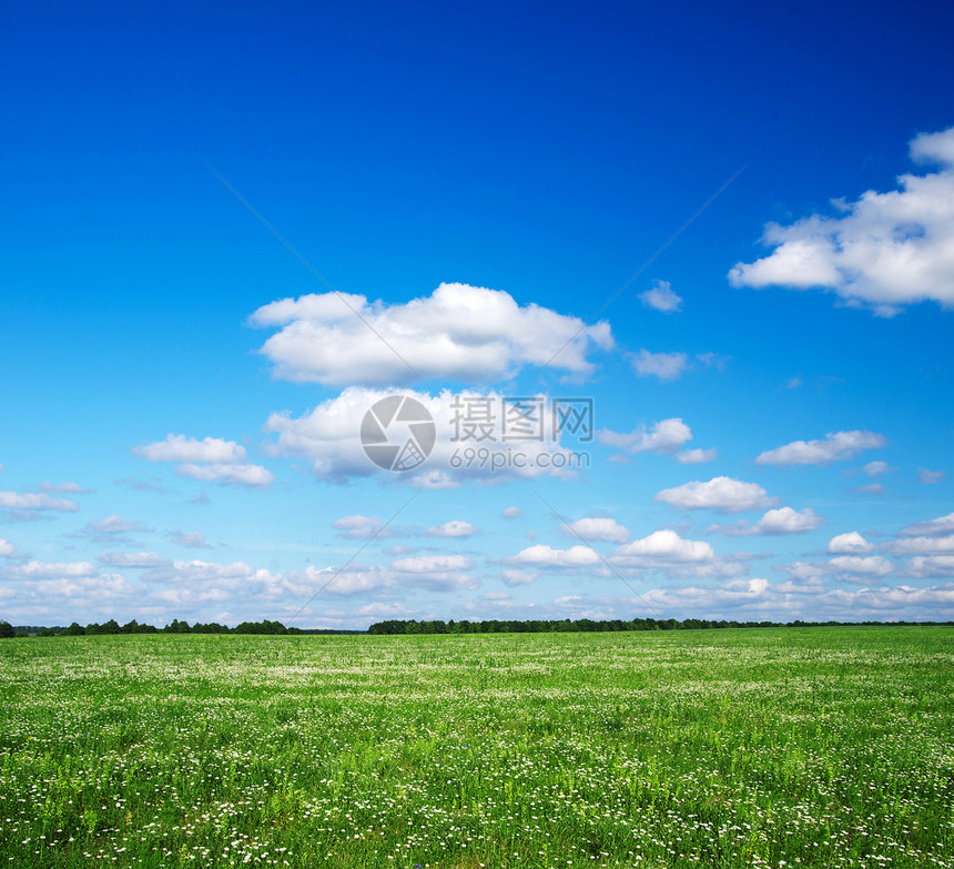 绿绿地农村太阳草原牧场蓝色天堂天气生长草地植物图片