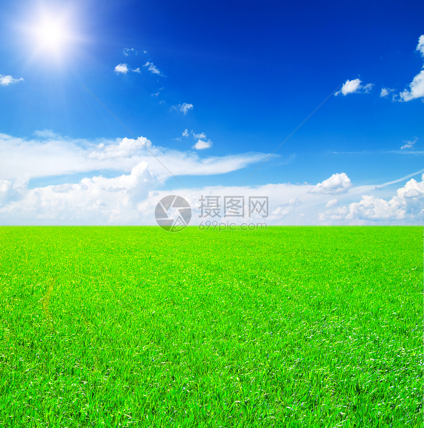草地和蓝天空草本植物自由天空环境土地地平线季节天气生长阳光图片