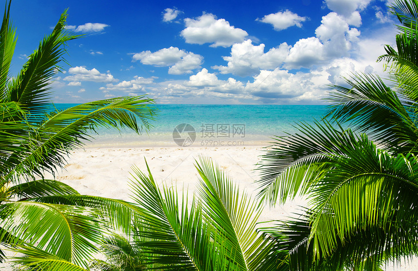 海 海海洋太阳热带海岸支撑阳光冲浪天空蓝色天堂图片