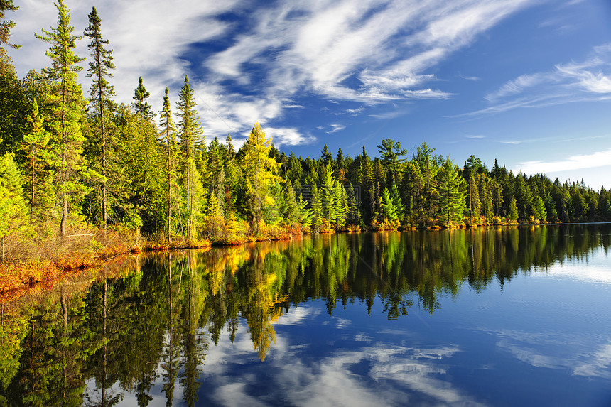 反映于湖泊中的森林图片
