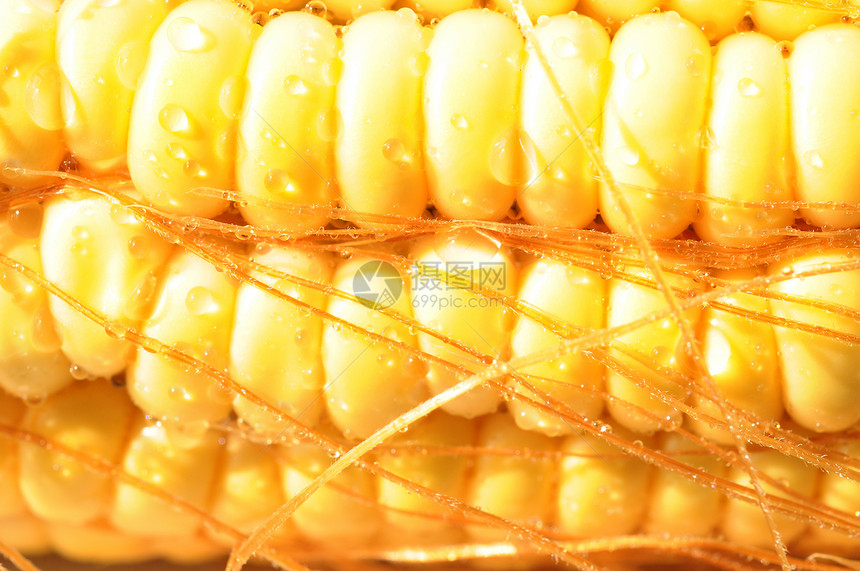 玉米鳕的宏视图蔬菜营养收成谷物文化棒子内核农场爆米花农业图片