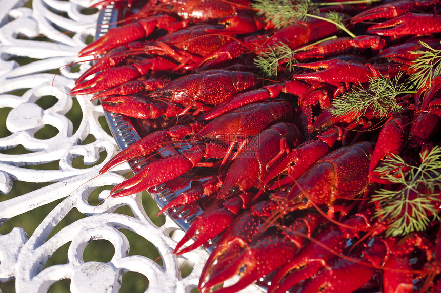 龙虾银盘子白色食物海洋桌子螃蟹厨艺动物海鲜甲壳图片