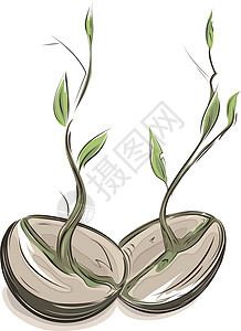 植物插图豆类流出设计图片