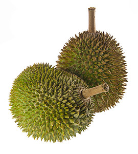 Durian 东南亚水果之王 在背景之下食物荆棘榴莲饮食营养情调绿色热带味道健康图片