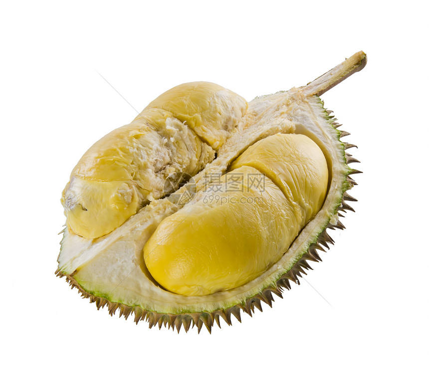 Durian 东南亚水果之王 在背景之下热带榴莲健康异国绿色情调荆棘味道饮食营养图片