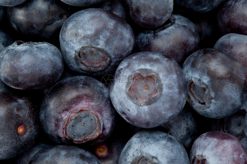 蓝莓堆节食影棚水果食物图片