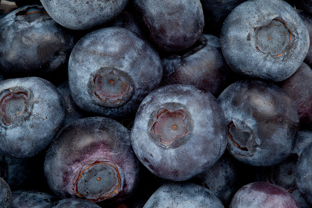 蓝莓堆节食影棚食物水果背景图片