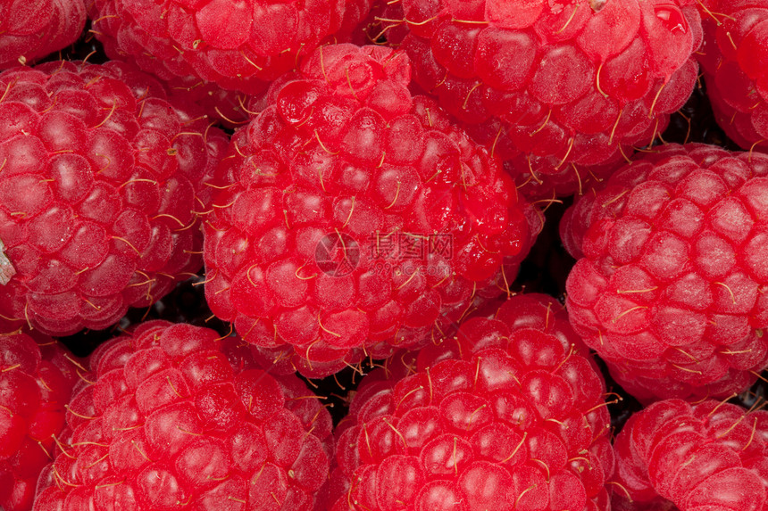 草莓肥料节食红色食物影棚水果图片