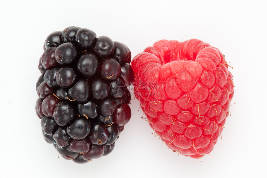 黑莓和草莓红色水果食物影棚节食图片