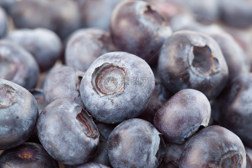 特写蓝莓水果食物营养甜点图片