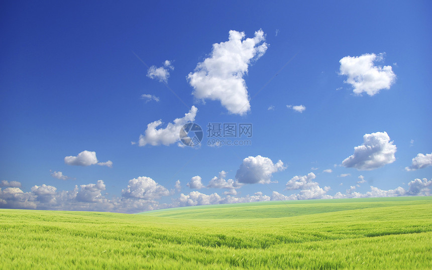 字段阳光土地乡村季节风景草地农场全景天气地平线图片