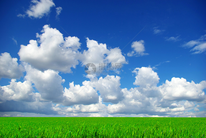 草地天空远景地平线风景植物天气季节全景土地阳光图片