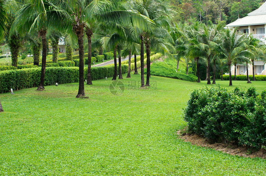 花园园棕榈途径草皮热带院子花园人行道风格公园小路图片