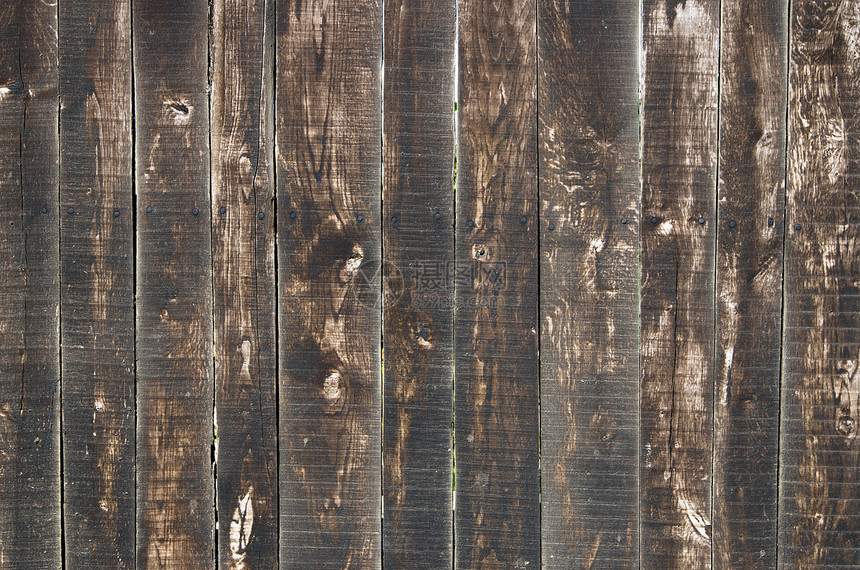 树木背景背景木工木材硬木木地板木头风格控制板桌子材料棕色图片
