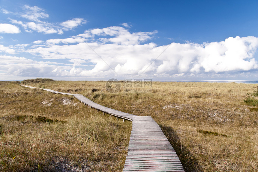 德国达尔斯海岸牧歌自然保护区沙滩支撑地平线沙丘旅游海岸线保护区天空图片