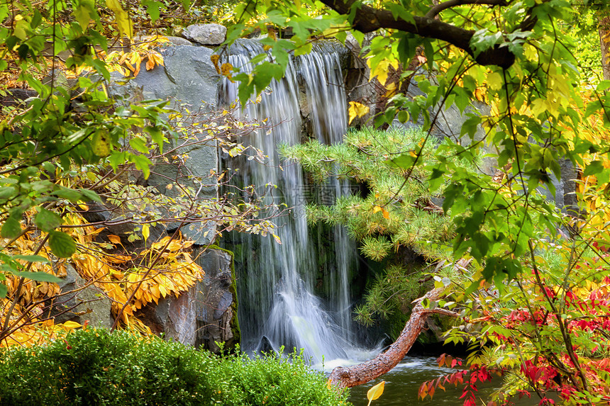 秋秋瀑布绿色树木岩石森林瀑布图片