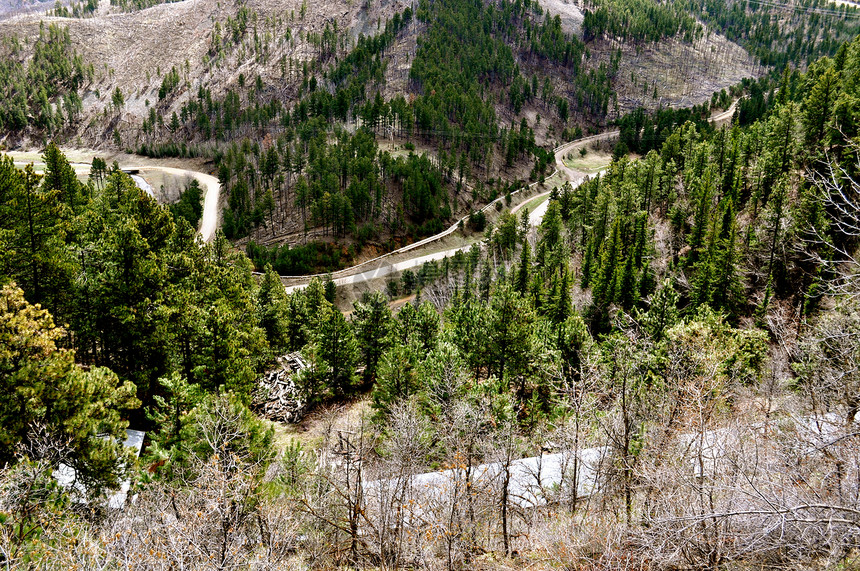 死林山和道路枯木爬坡树木丘陵天空图片