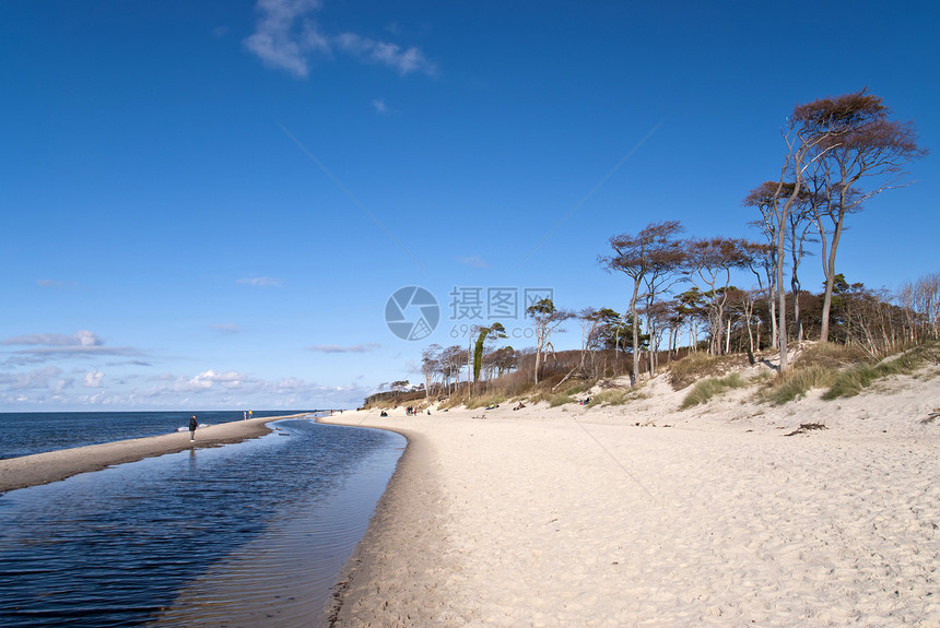 德国达尔斯海滩支撑天空海岸线水面松树树木自然保护区保护区沙丘地平线图片