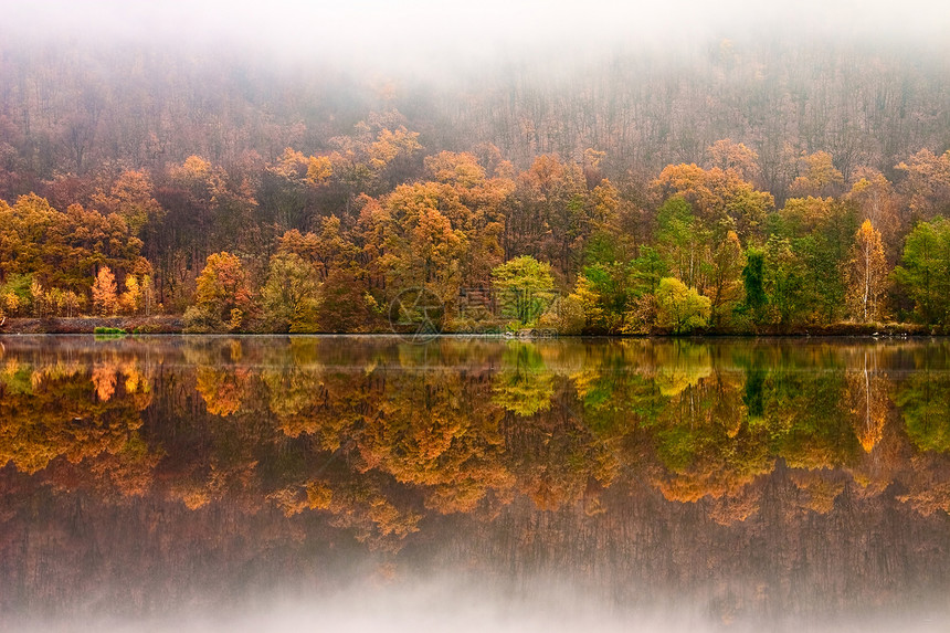 秋季反思岩石森林季节叶子太阳黄色天空季节性活力平底船图片