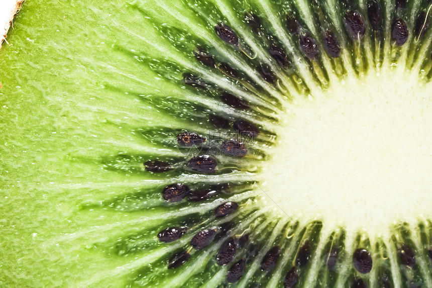 基维语Name食物水果绿色奇异果小吃美食种子杂货图片