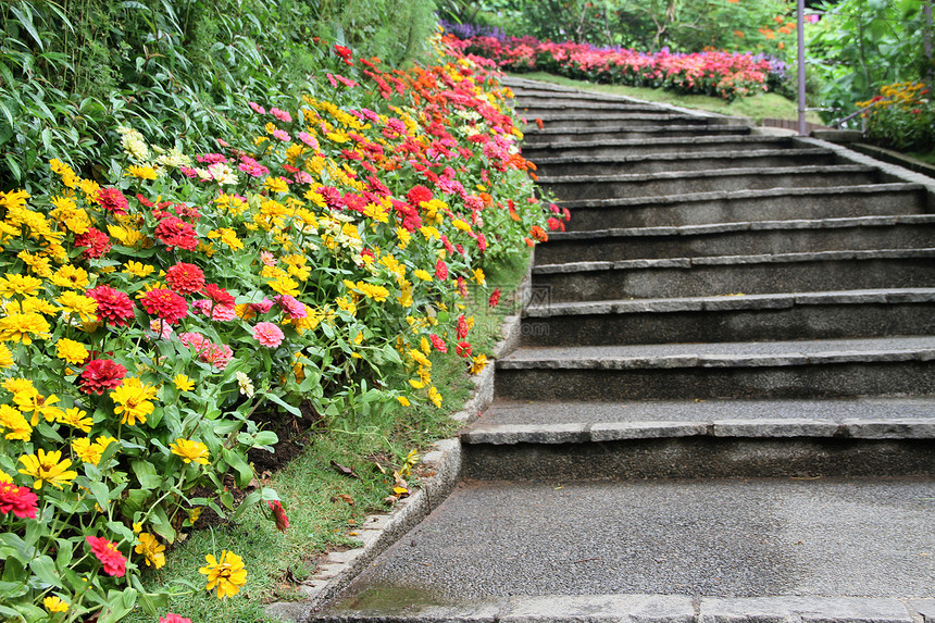 美丽的多彩花朵花花园脚步花坛红色小径花朵公园雏菊黄色植物群绿色图片