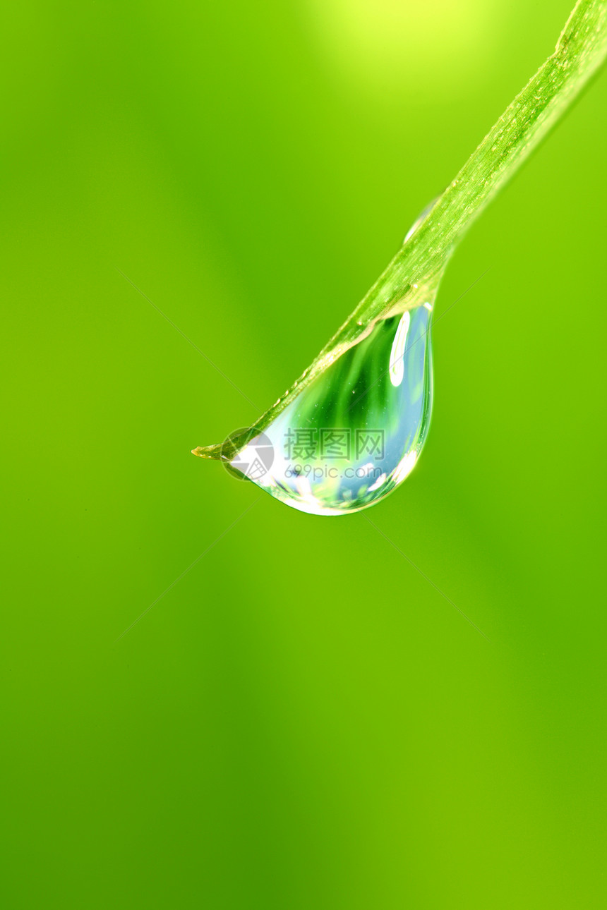 大水滴生长雨滴阳光花园背景草地宏观草本植物植物液体图片