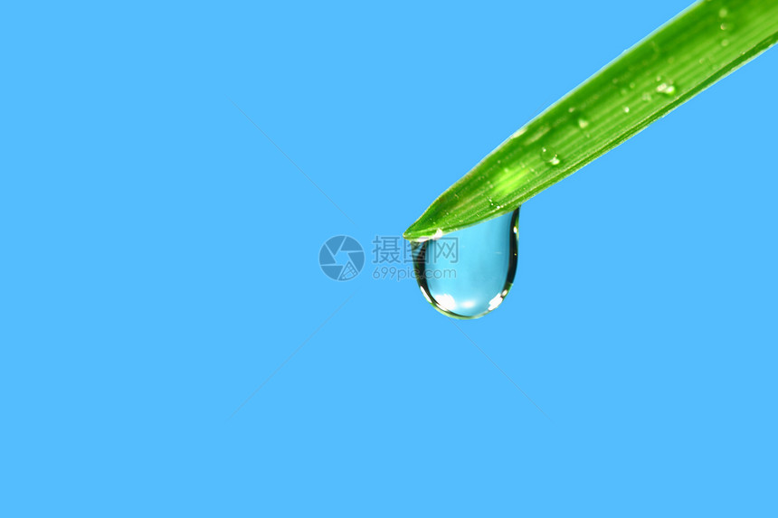 大水滴叶子雨滴液体气候阳光草地生长宏观背景环境图片