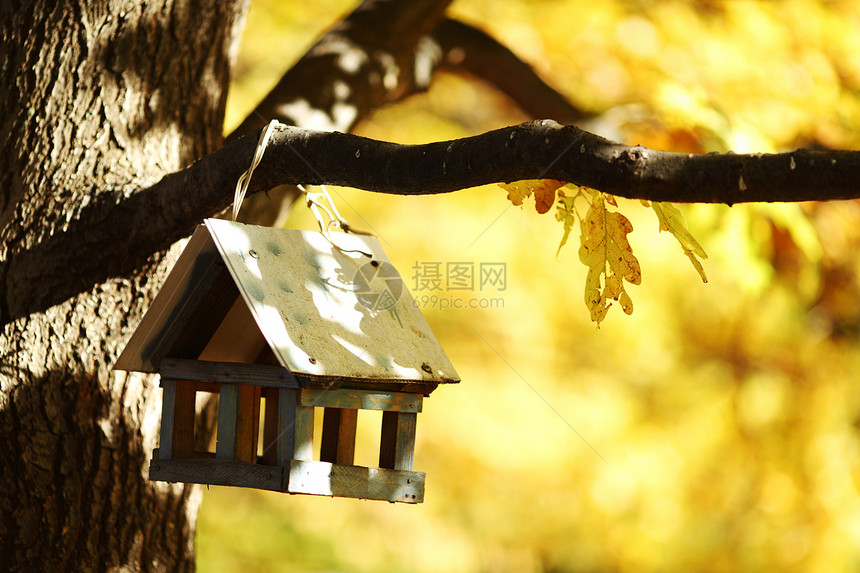 秋林中的鸟屋天空花园巢箱环境桌子树叶帮助生态木头森林图片