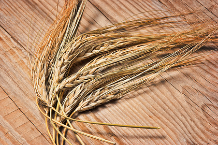 黑麦馒头面包和耳朵谷物收获营养小麦大麦化合物玉米粮食种子收成背景