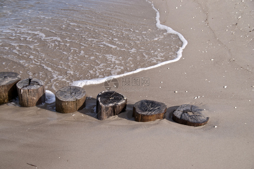 波罗的海沿岸水面木头旅游两极海滩海岸线海岸牧歌支撑图片