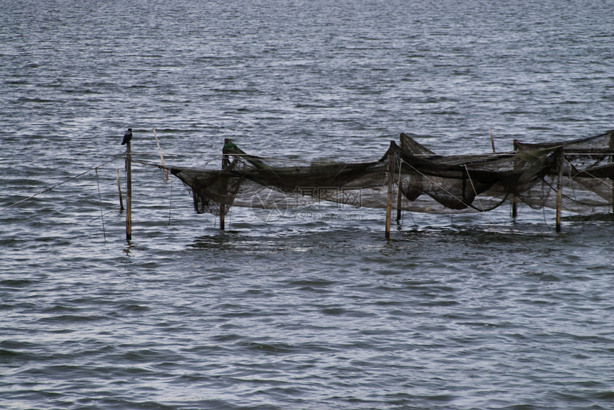 捕鱼渔网海岸支撑钓鱼日落渔业海岸线牧歌水面图片
