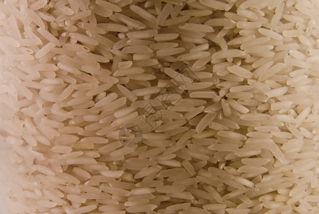 大米稻米营养矿物质水稻食物维生素玉米背景图片