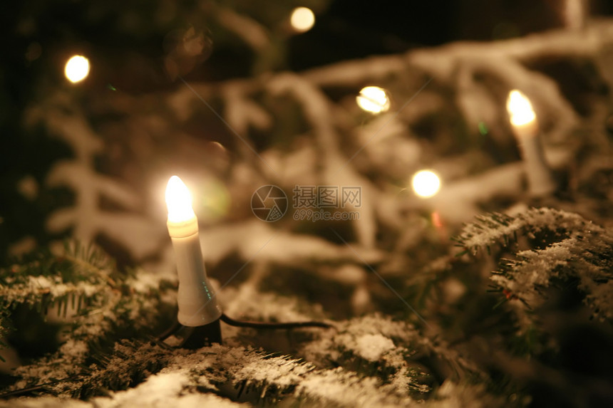 圣诞树蜡烛松树庆典辉光季节性图片