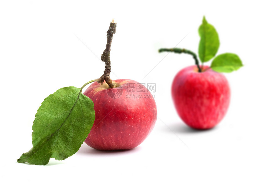 苹果叶子水果农业小吃白色收获绿色农场食物天堂图片