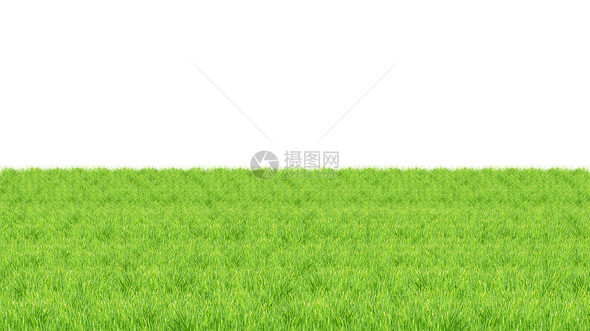 青草白色草皮刀刃场地水平叶子植物树篱草地剪裁图片