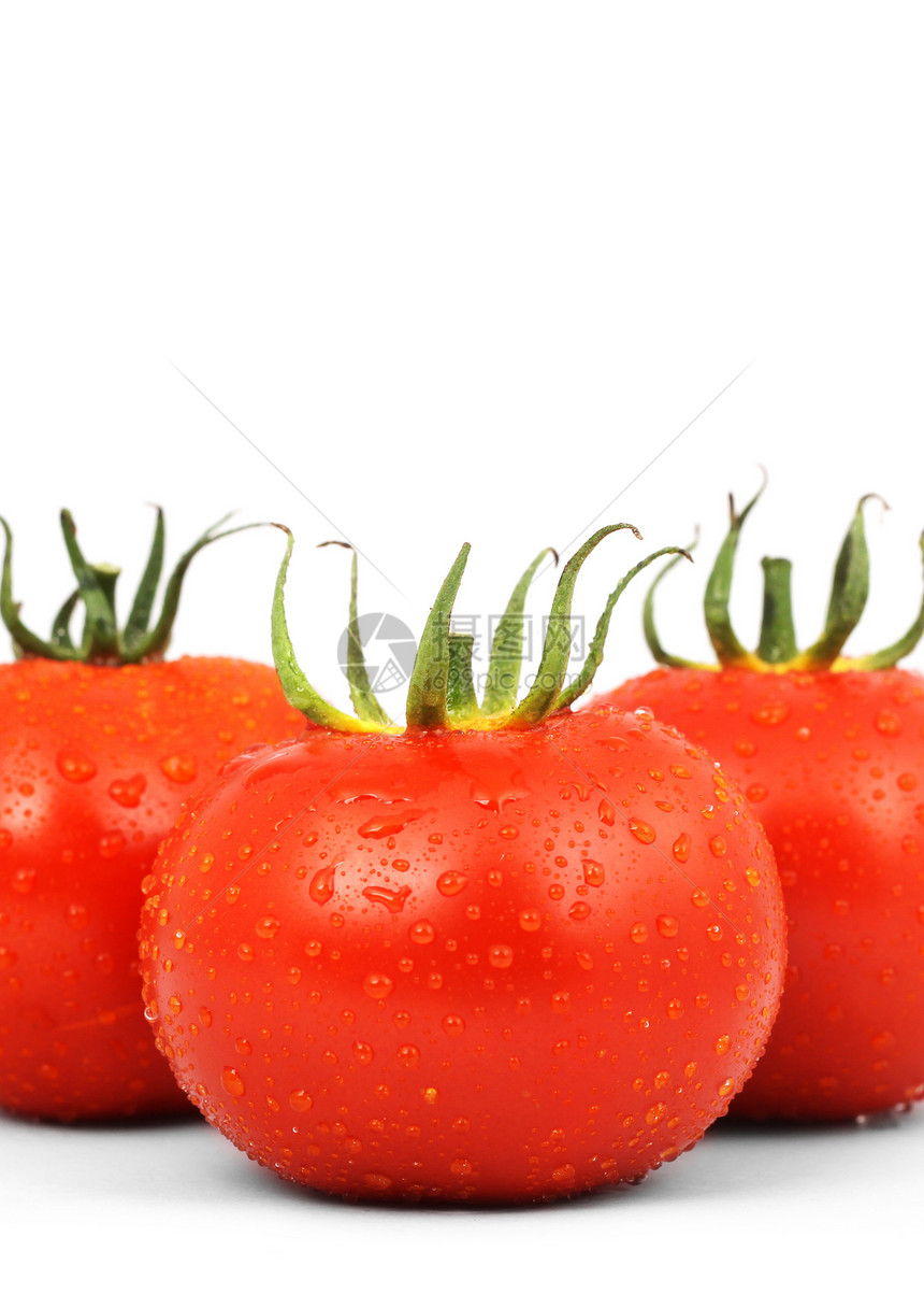 三个红番茄剪裁植物食物水果水平红色绿色白色蔬菜图片